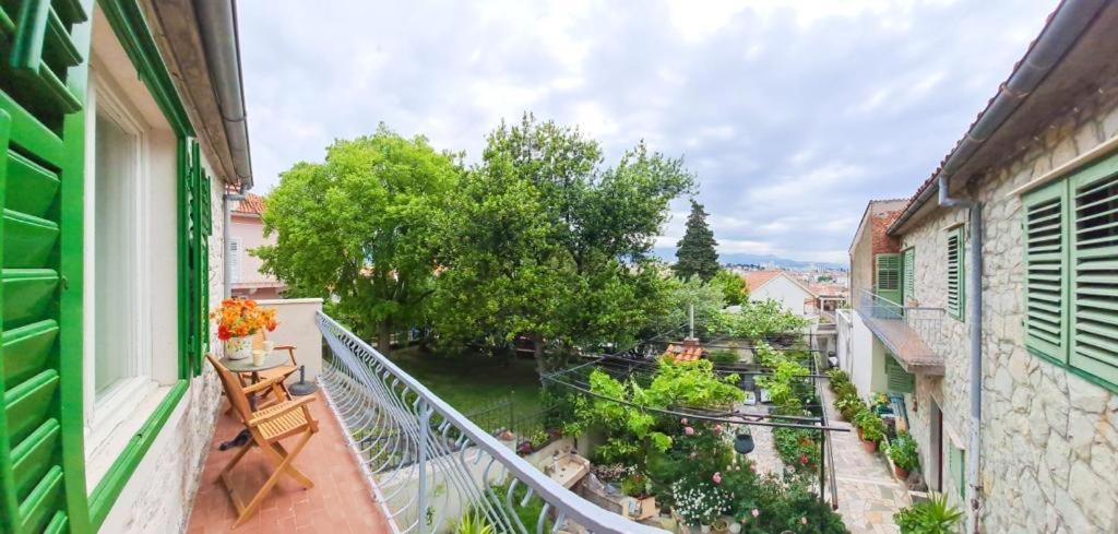 Apartment Rosa